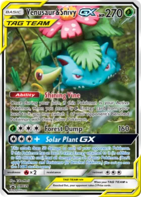 Venusaur & Snivy-GX (PR-SM SM229) SM Black Star Promos