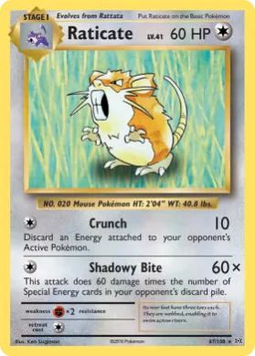 Raticate (EVO 67) Evolutions