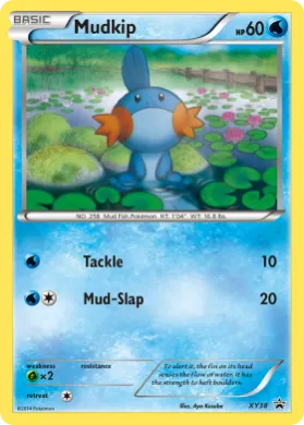 Mudkip (PR-XY XY38) XY Black Star Promos