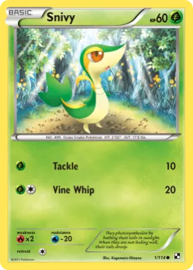 Snivy (BLW 1) Black & White