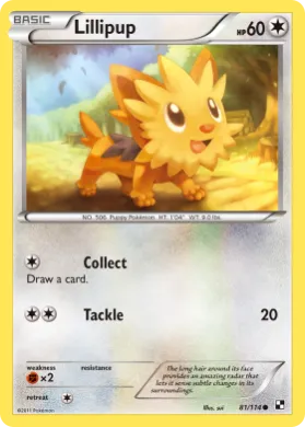 Lillipup (BLW 81) Black & White