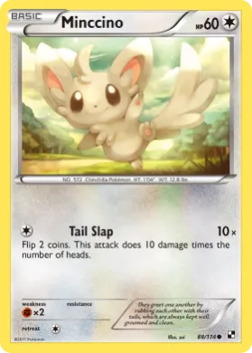 Minccino (BLW 88) Black & White