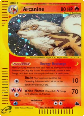 Arcanine (SK H2) Skyridge