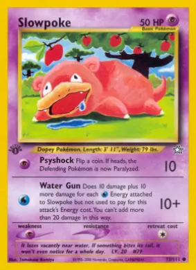 Slowpoke (NG 73) Neo Genesis