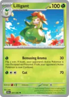 Standard