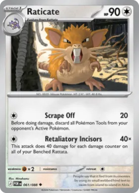 Raticate (POR 61) Perfect Order