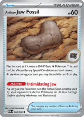 Antique Jaw Fossil (POR 68) Perfect Order