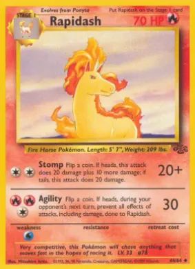 Rapidash (JU 44) Jungle