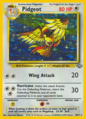 Pidgeot (JU 8) Jungle