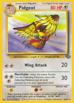 Pidgeot (JU 24) Jungle