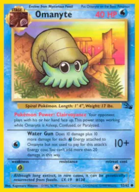 Omanyte (FO 52) Fossil