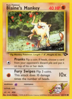 Blaine's Mankey (GC 63) Gym Challenge