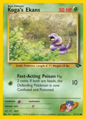 Koga's Ekans (GC 77) Gym Challenge