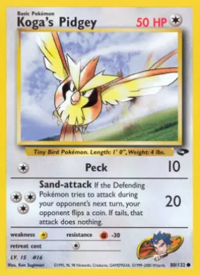 Koga's Pidgey (GC 80) Gym Challenge