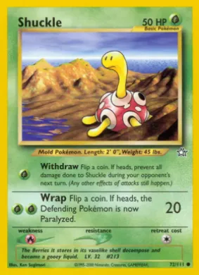 Shuckle (NG 72) Neo Genesis