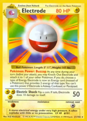 Electrode (BS 21) Base Set