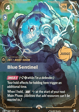 Blue Sentinel – Judge