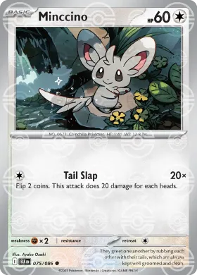 Minccino (BLK 75) Black Bolt