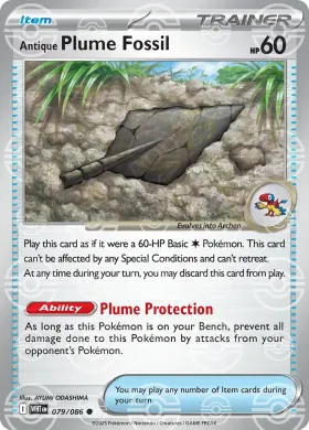 Antique Plume Fossil (WHT 79) White Flare