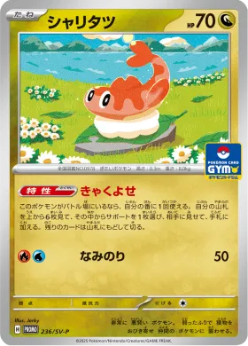 シャリタツ (Tatsugiri) (SVP 236) Scarlet & Violet Promos