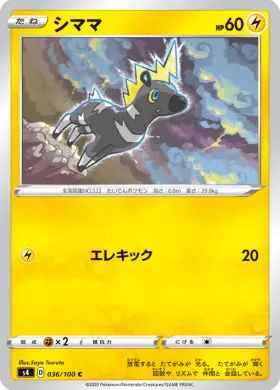 シママ (Blitzle) (S4 36) Electrifying Tackle
