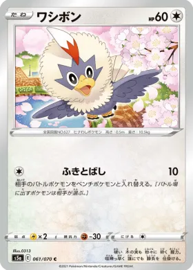 ワシボン (Rufflet) (S5a 61) Matchless Fighter