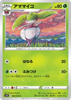 アママイコ (Steenee) (S6H 8) Silver Lance