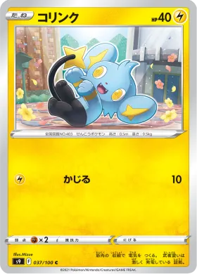 コリンク (Shinx) (S9 37) Star Birth