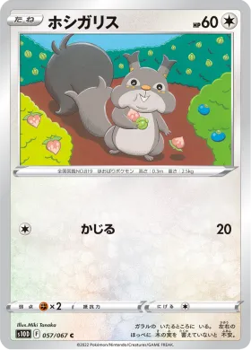 ホシガリス (Skwovet) (S10D 57) Time Gazer
