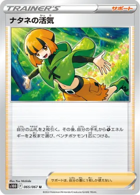 ナタネの活気 (Gardenias Vigor) (S10D 65) Time Gazer