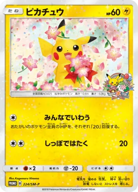 ピカチュウ (Pikachu) (SMP 224) Sun & Moon Promos