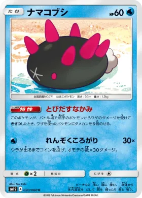ナマコブシ (Pyukumuku) (SM1S 020) Collection Sun
