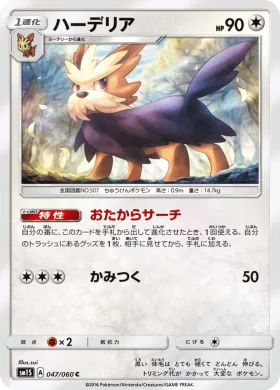 ハーデリア (Herdier) (SM1S 047) Collection Sun
