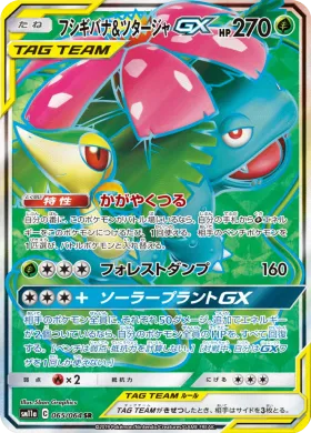 フシギバナ&ツタージャGX (Venusaur Snivy GX) (SM11a 065) Remix Bout