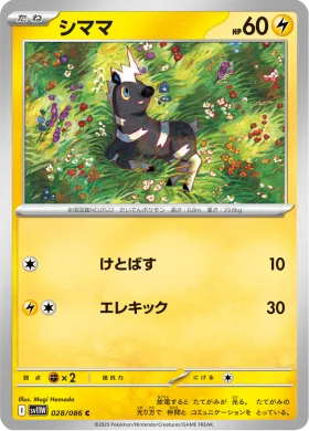 シママ (Blitzle) (SV11W 028) White Flare JP