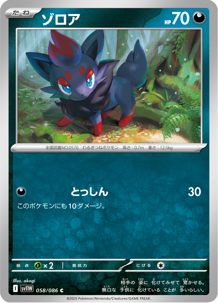 ゾロア (Zorua) (SV11W 058) White Flare JP - TCGGO.com