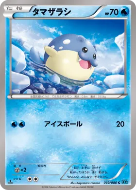タマザラシ (Spheal) (XY2 019) Wild Blaze