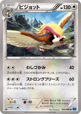 ピジョット (Pidgeot) (XY2 063) Wild Blaze