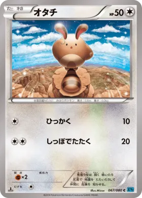オタチ (Sentret) (XY2 067) Wild Blaze