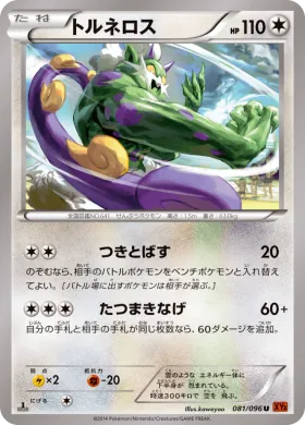 トルネロス (Tornadus) (XY3 081) Rising Fist