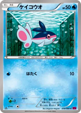 ケイコウオ (Finneon) (XY4 018) Phantom Gate