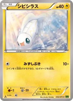 シビシラス (Tynamo) (XY5t 036) Tidal Storm