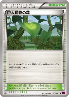 巨大植物の森 (Giant Plant Forest) (XY7 079) Bandit Ring