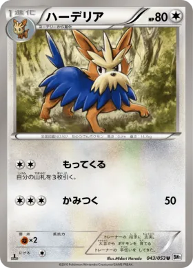ハーデリア (Herdier) (BW1w 043) White Collection