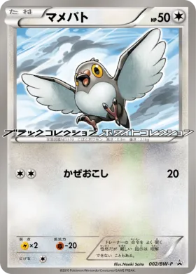 マメパト (Pidove) (BW-P 002) BW Promos