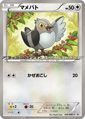 マメパト (Pidove) (BW-P 005) BW Promos