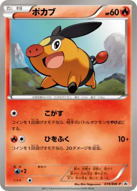 ポカブ (Tepig) (BW-P 019) BW Promos