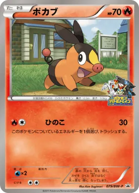 ポカブ (Tepig) (BW-P 079) BW Promos
