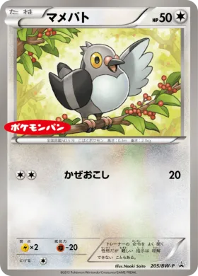 マメパト (Pidove) (BW-P 205) BW Promos