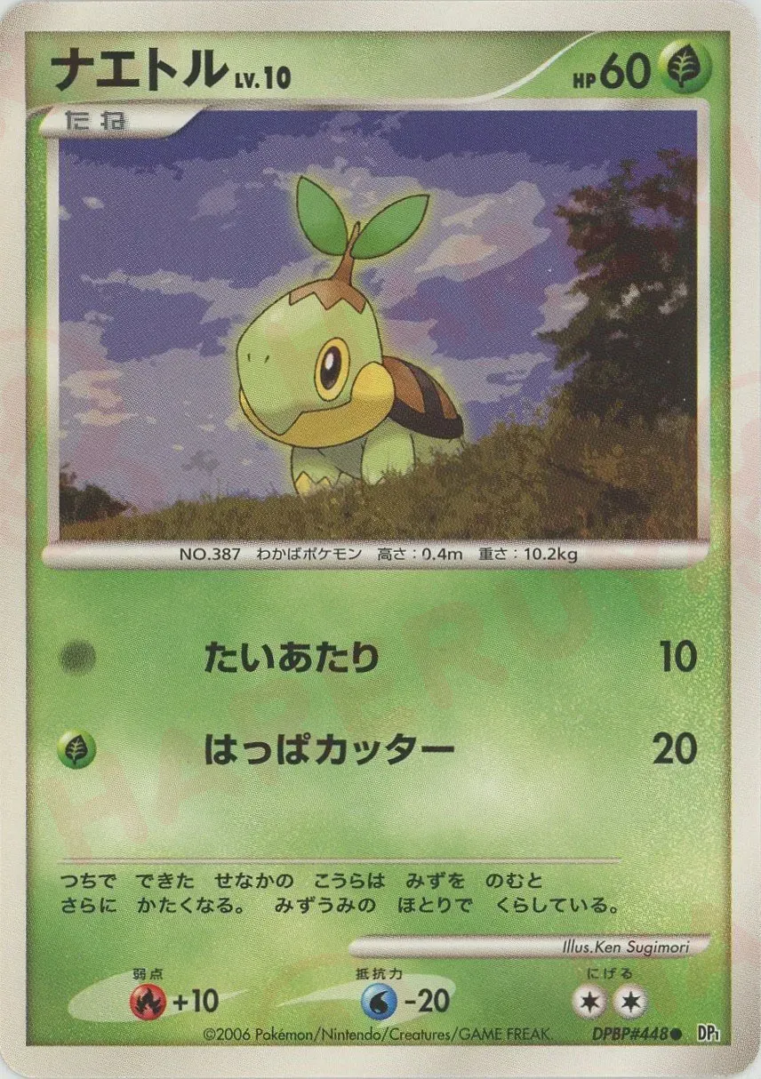 Turtwig Lv.10